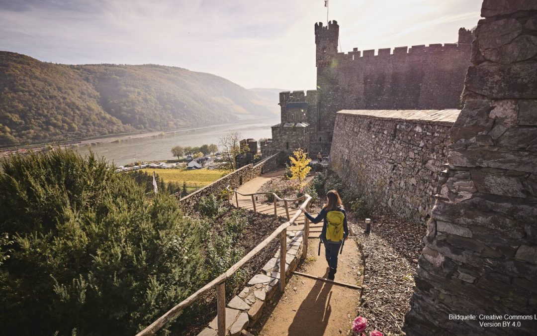 6 Tage Wanderung auf RheinBurgenWeg